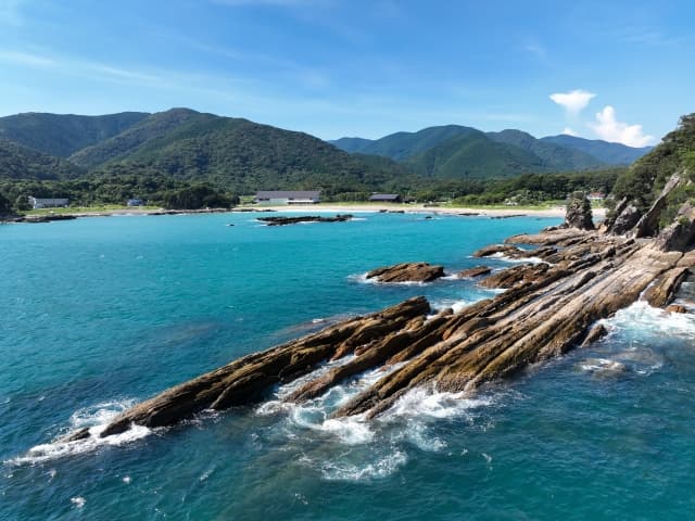 高知
