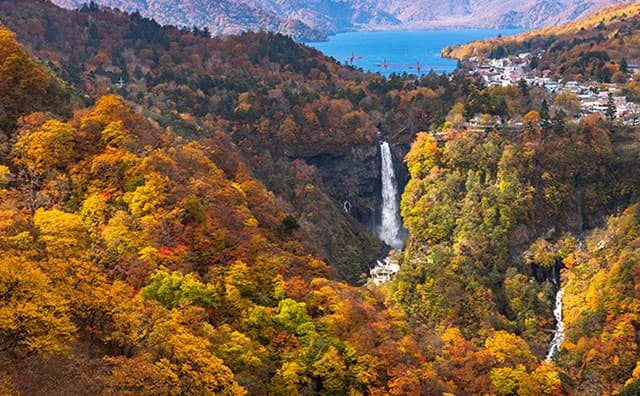 栃木